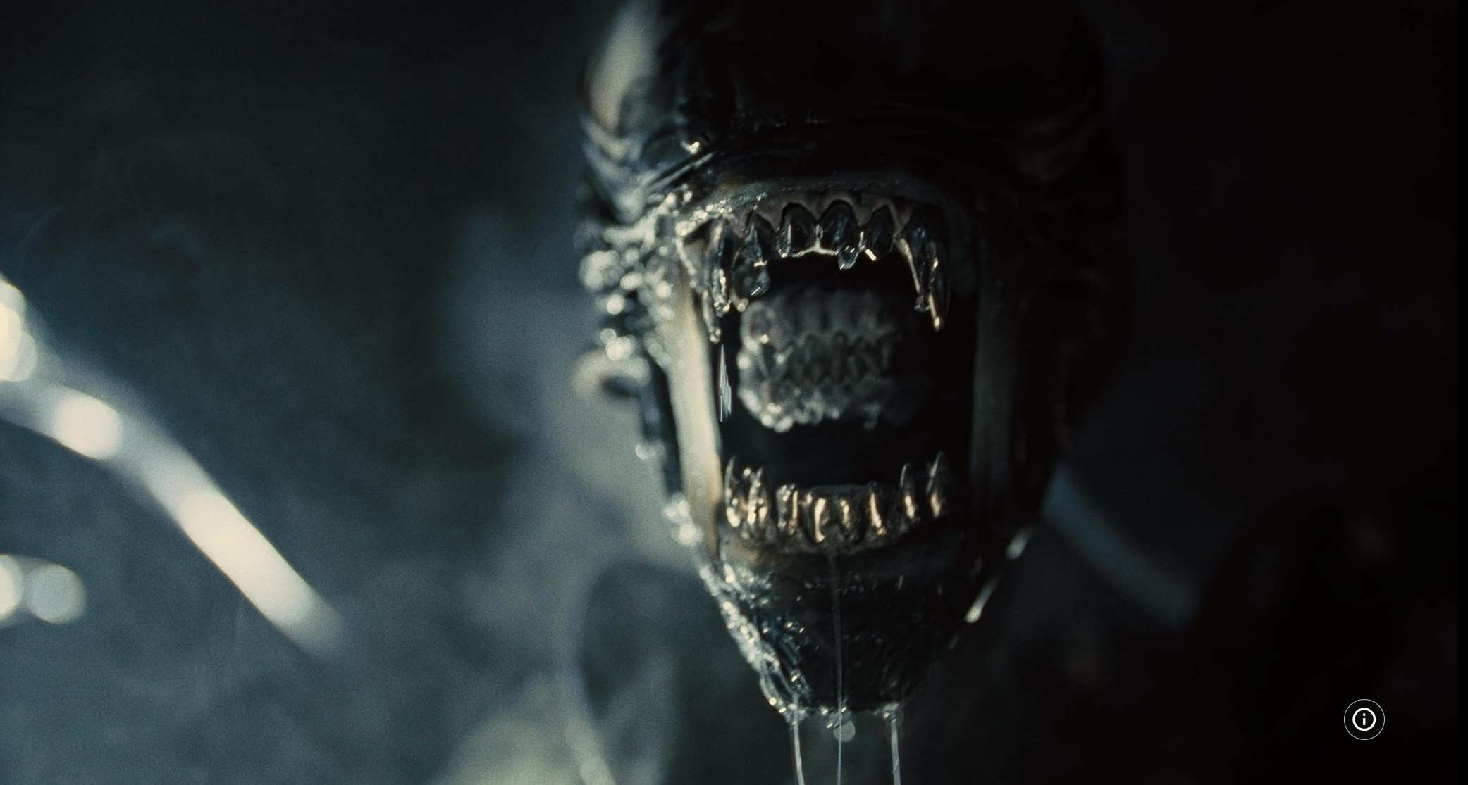 Alien: Romulus - Insights & Updates on the New Film sci-fi film